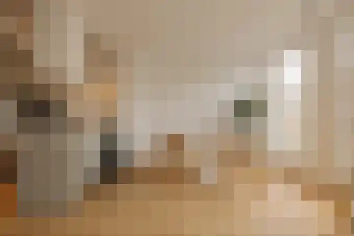 Van Breestraat 183 D Amsterdam thumbnail 11