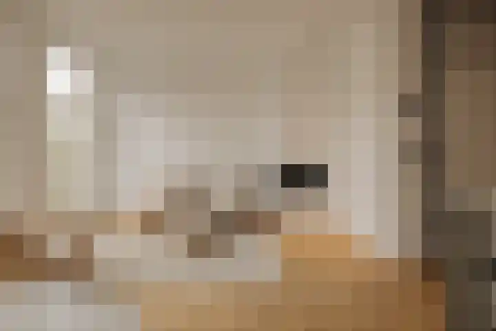 Van Breestraat 183 D Amsterdam thumbnail 12