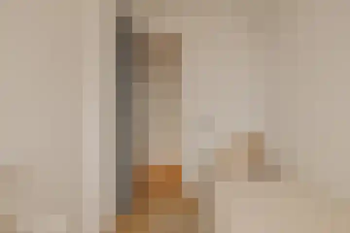 Van Breestraat 183 D Amsterdam thumbnail 17