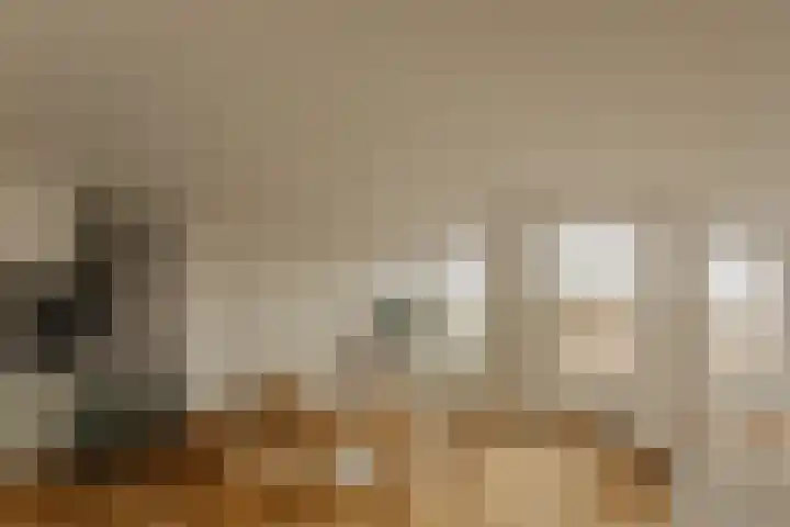Van Breestraat 183 D Amsterdam thumbnail 24