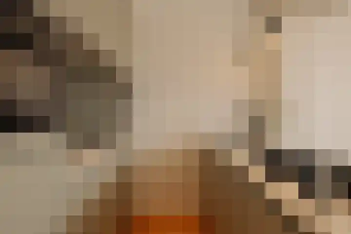 Van Breestraat 183 D Amsterdam thumbnail 7