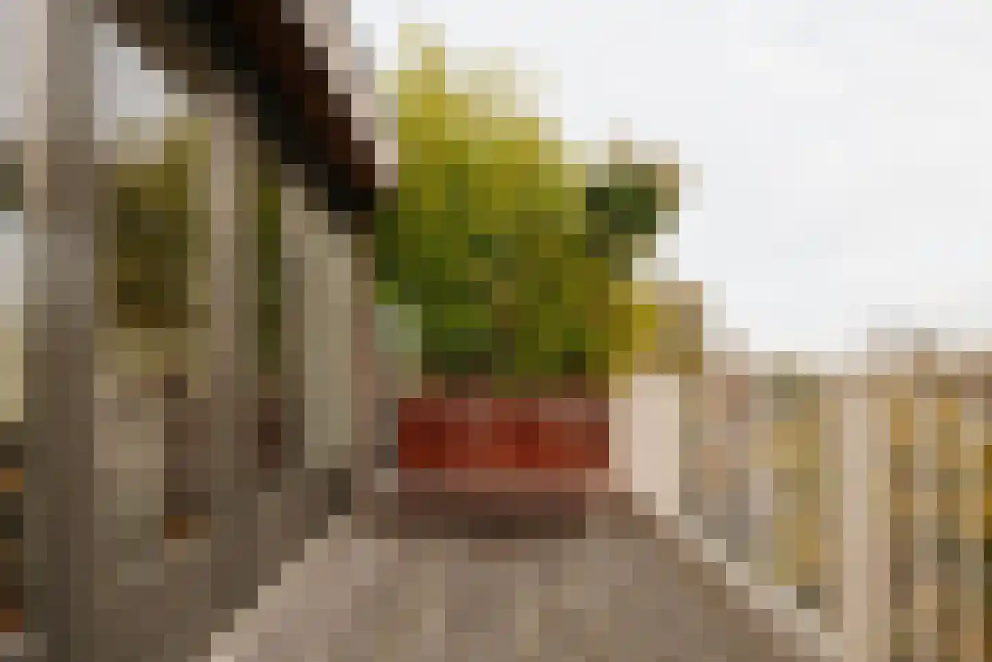 Van Breestraat 183 E Amsterdam thumbnail 15