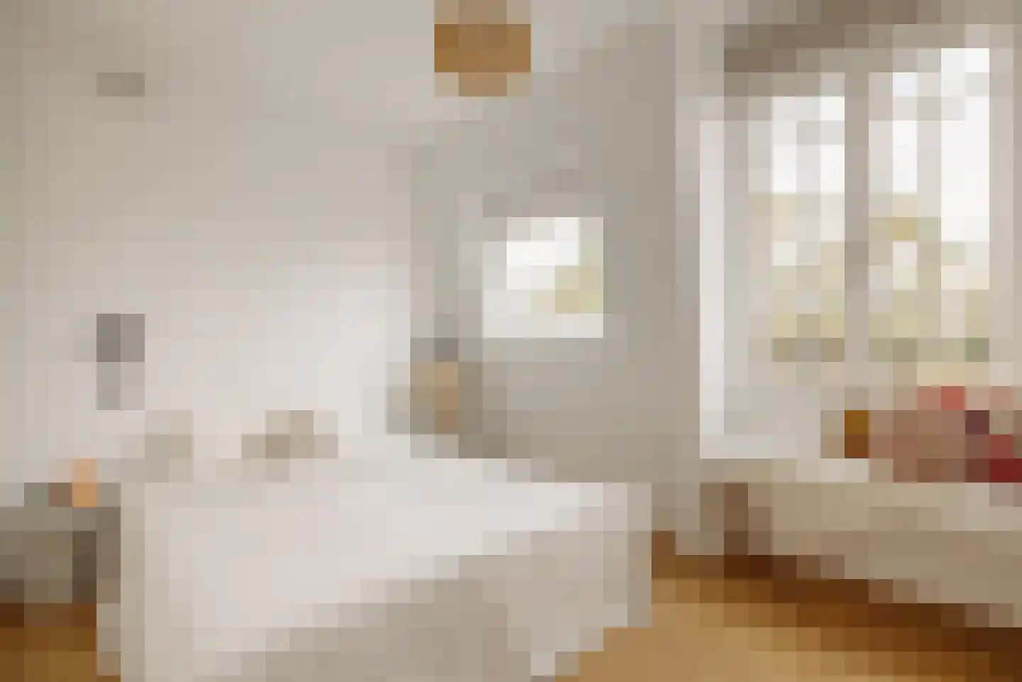Van Breestraat 183 E Amsterdam thumbnail 17