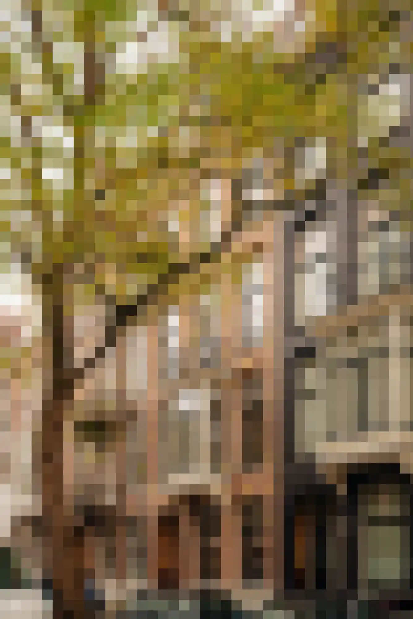 Van Breestraat 183 E Amsterdam thumbnail 5