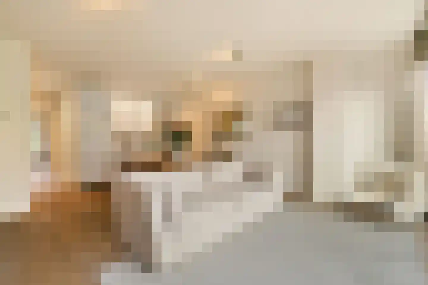 Van Breestraat 20 B Amsterdam thumbnail 5