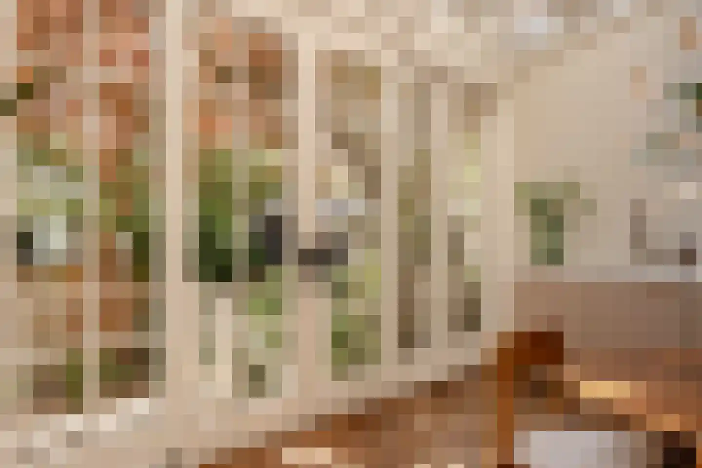 Van Breestraat 31 H Amsterdam thumbnail 11