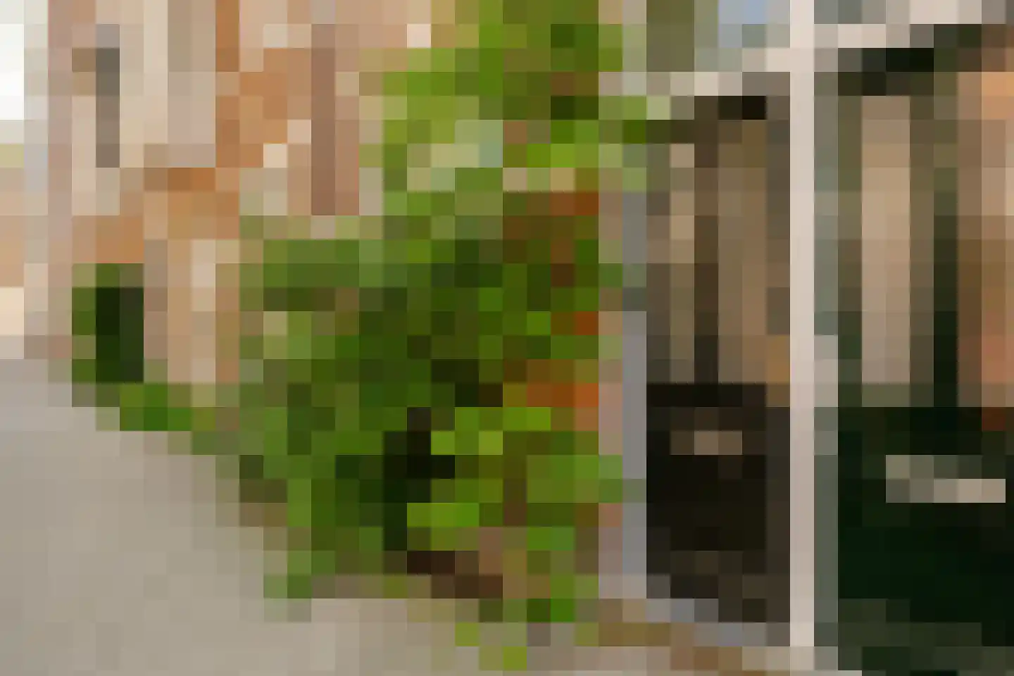 Van Breestraat 31 H Amsterdam thumbnail 37
