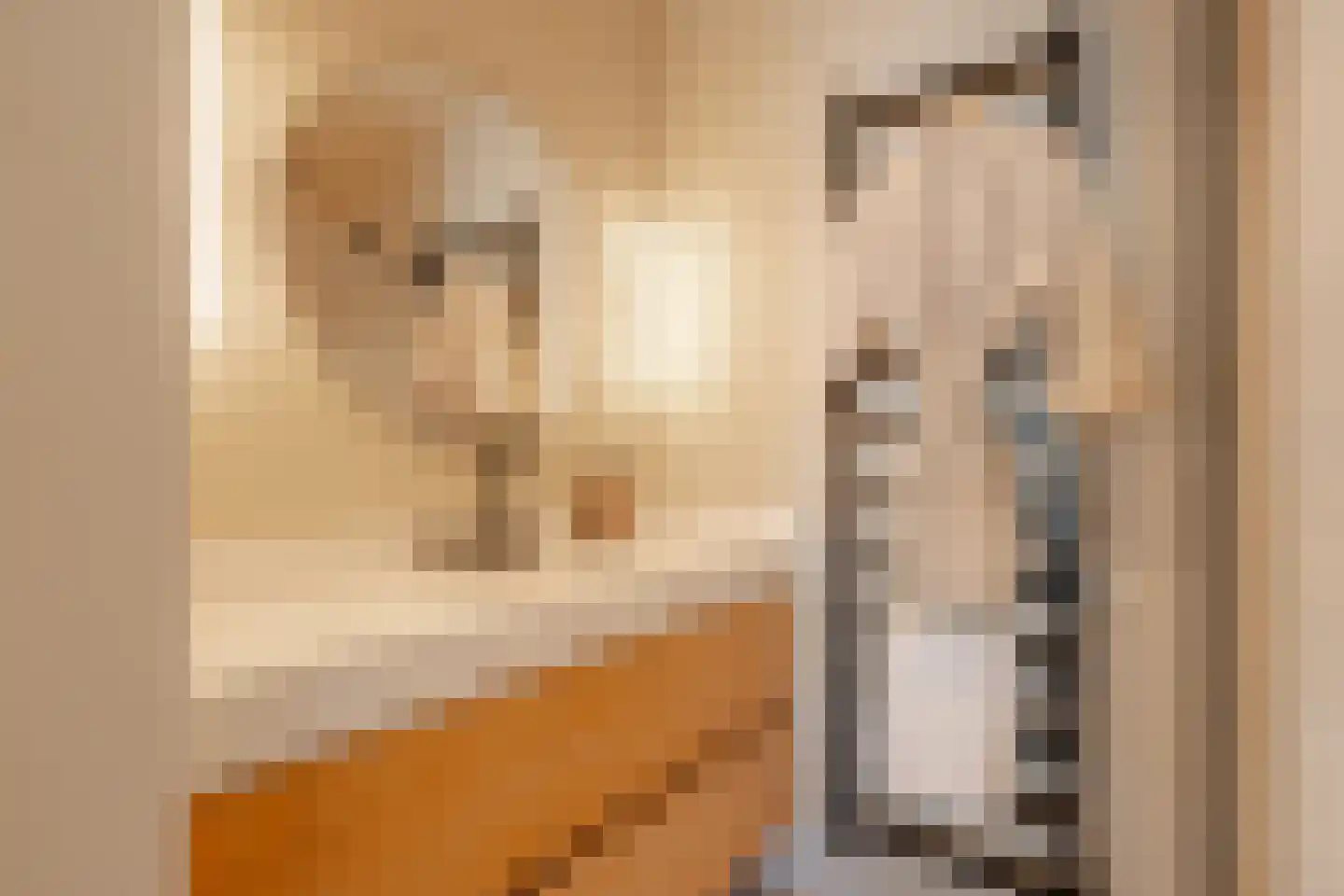 Van Breestraat 31 H Amsterdam thumbnail 41