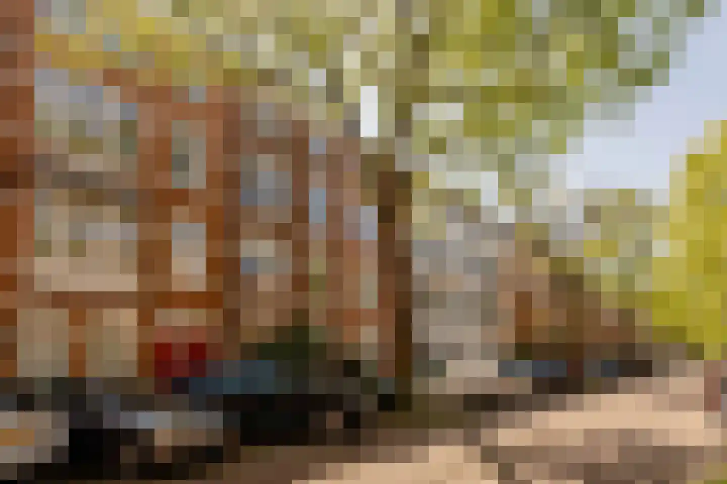 Van Breestraat 31 H Amsterdam thumbnail 46