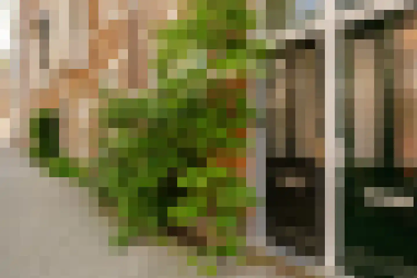 Van Breestraat 31 H Amsterdam thumbnail 47