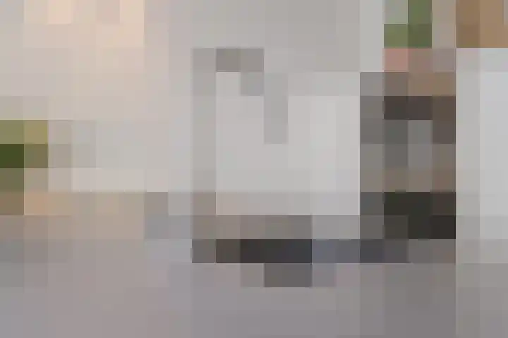 Van Breestraat 31 Tilburg thumbnail 12