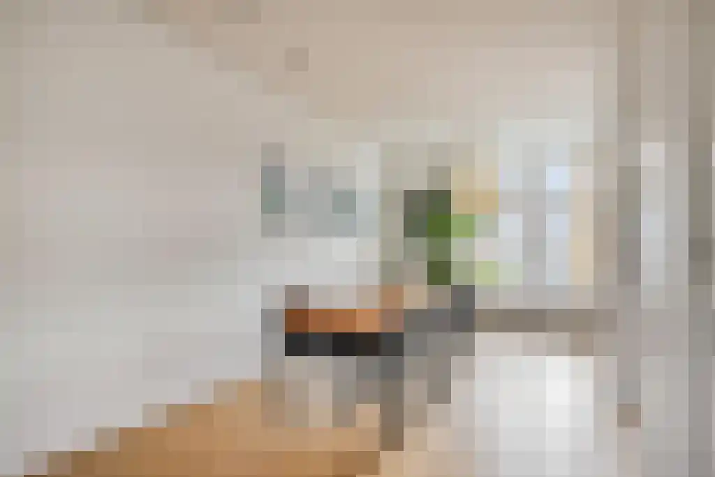 Van Breestraat 37 2 Amsterdam thumbnail 5