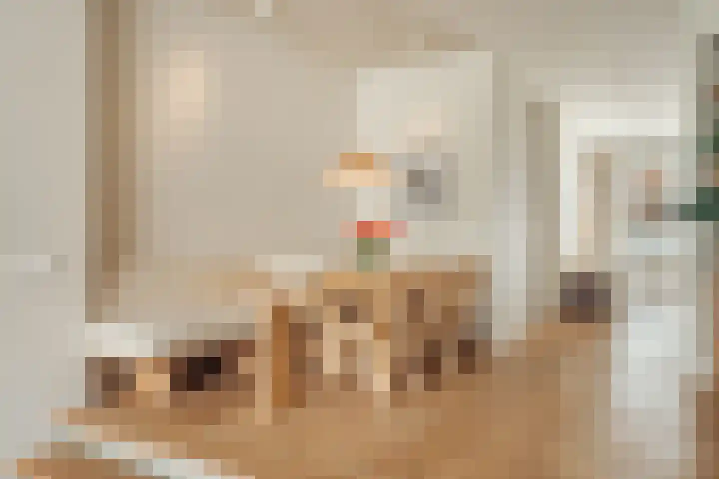 Van Breestraat 44 Amsterdam thumbnail 17