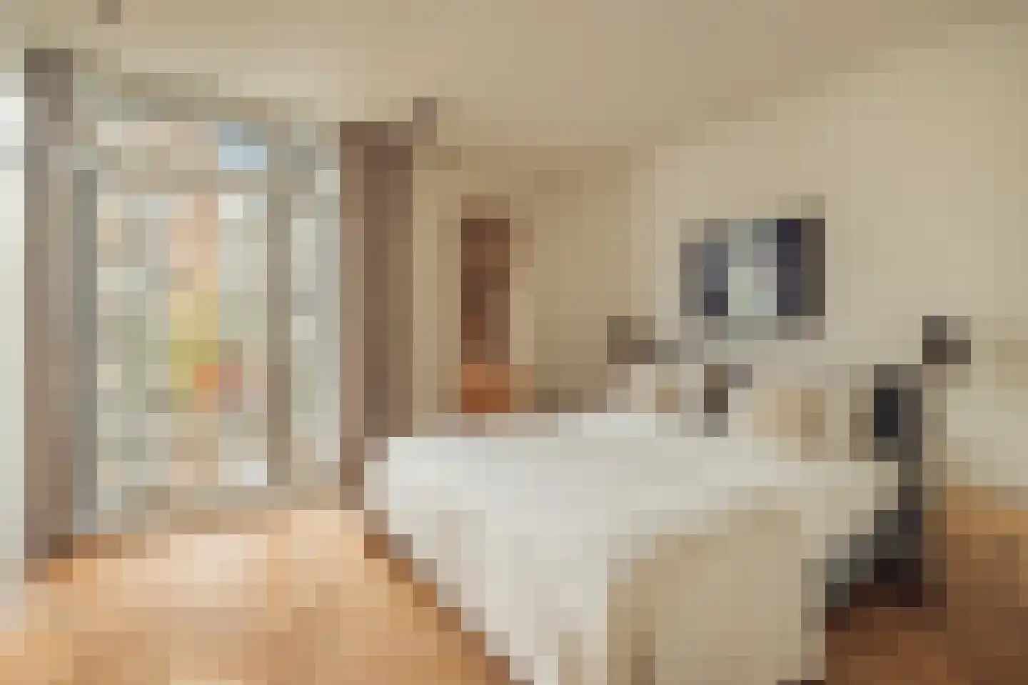 Van Breestraat 44 Amsterdam thumbnail 21