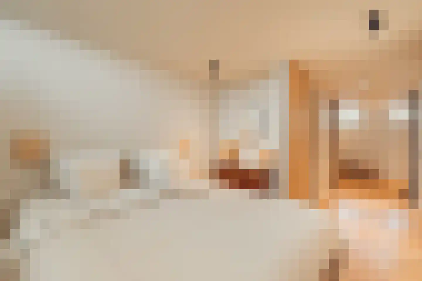 Van Breestraat 44 Amsterdam thumbnail 39