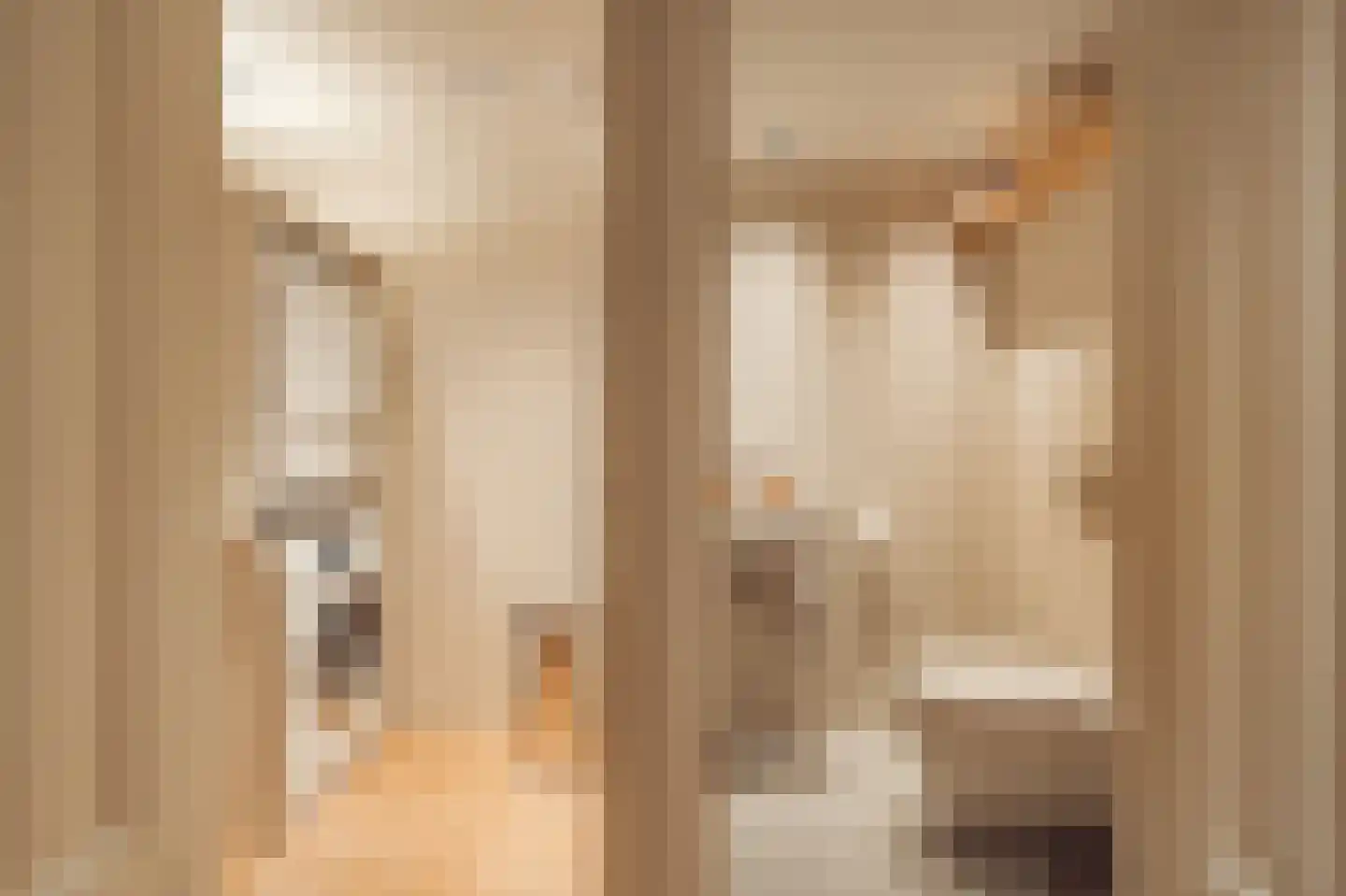 Van Breestraat 44 Amsterdam thumbnail 45