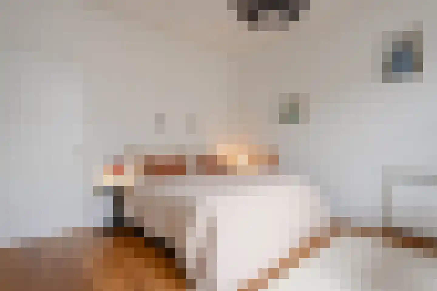 Van Breestraat 45 Amsterdam thumbnail 26