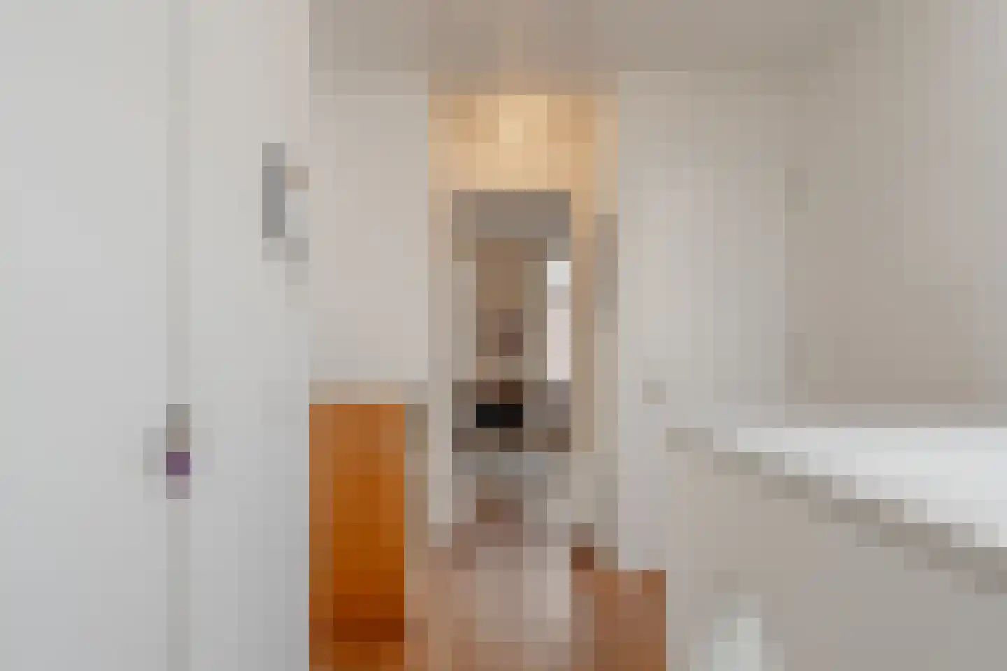 Van Breestraat 45 Amsterdam thumbnail 34