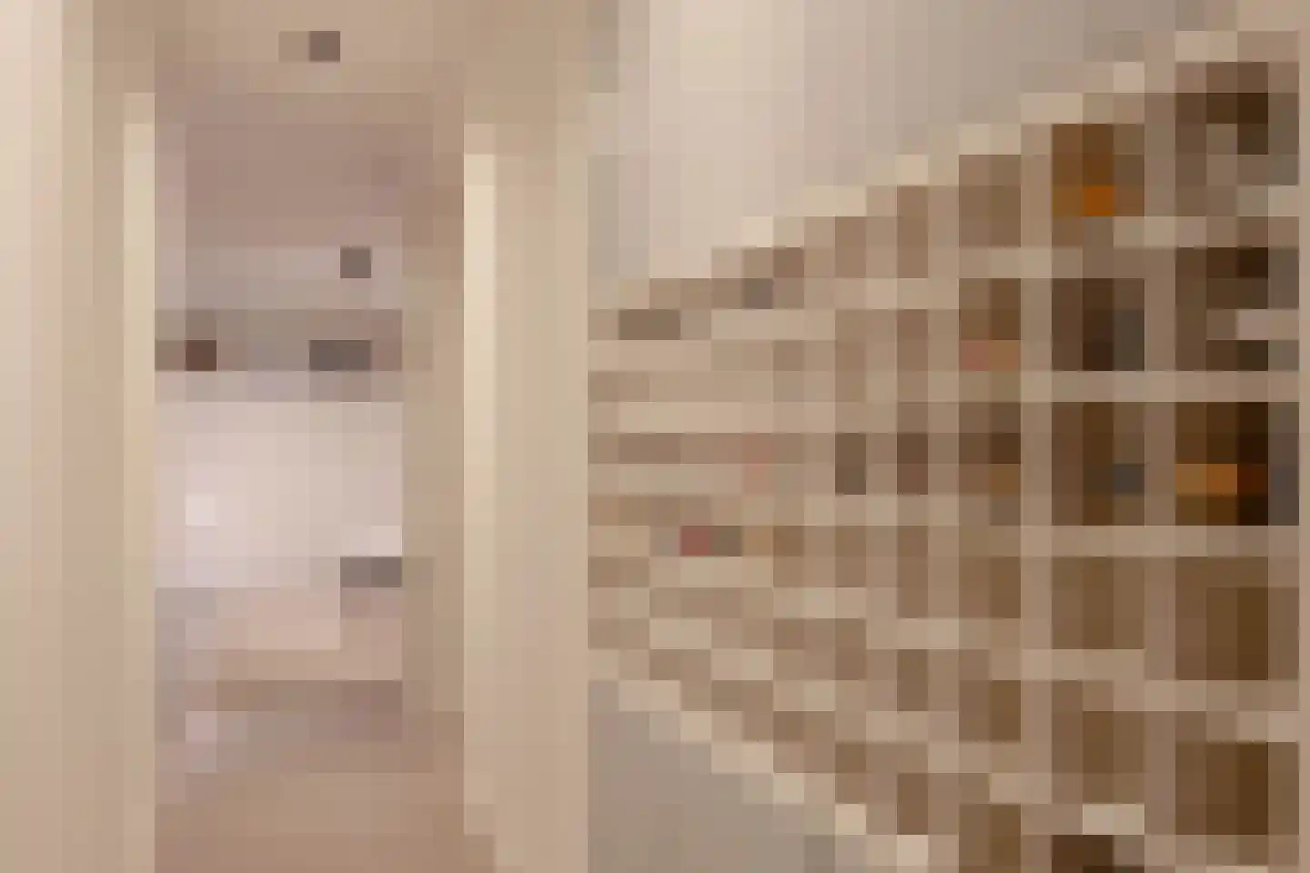Van Breestraat 45 Amsterdam thumbnail 47