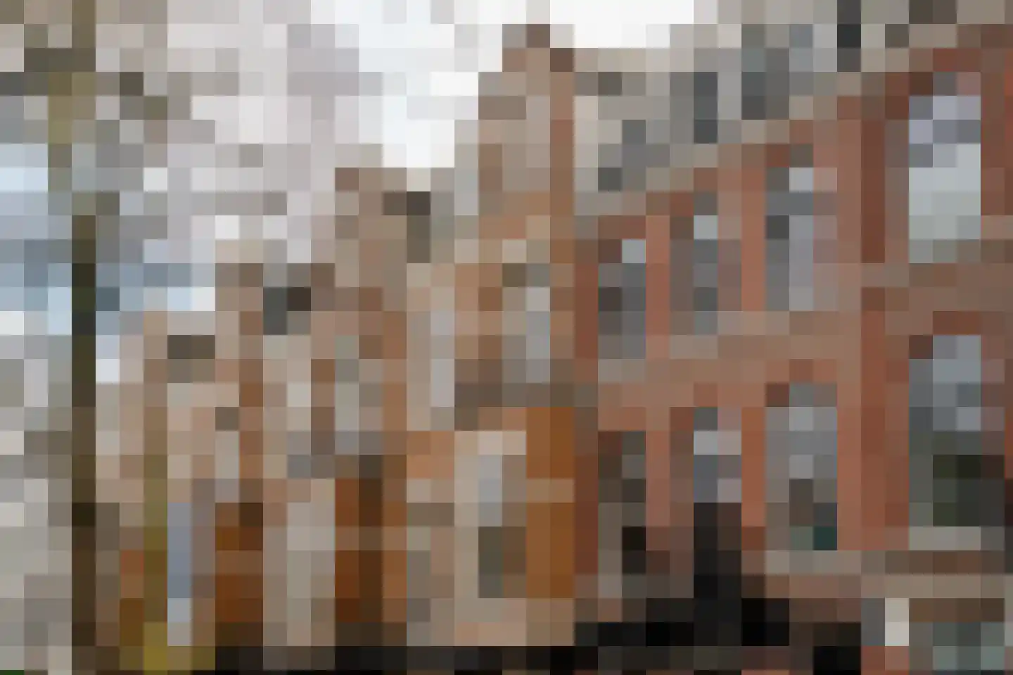 Van Breestraat 45 Amsterdam thumbnail 48