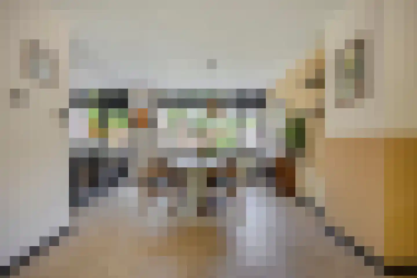 Van Breestraat 49 Tilburg thumbnail 12