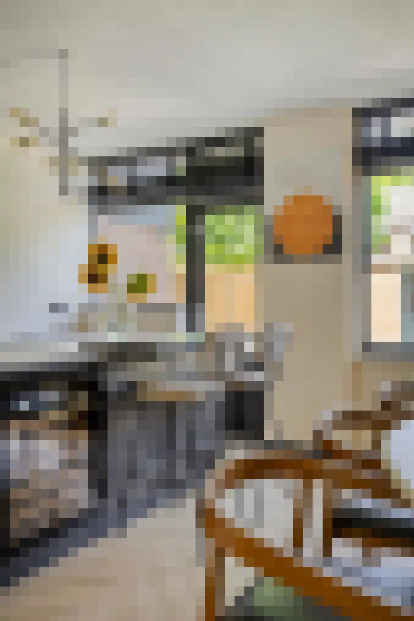 Van Breestraat 49 Tilburg thumbnail 14