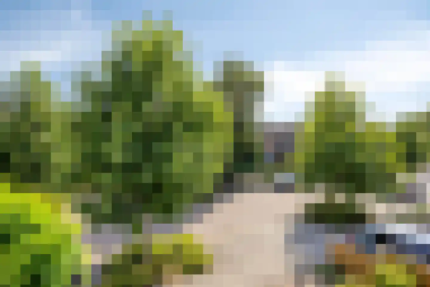 Van Breestraat 49 Tilburg thumbnail 46