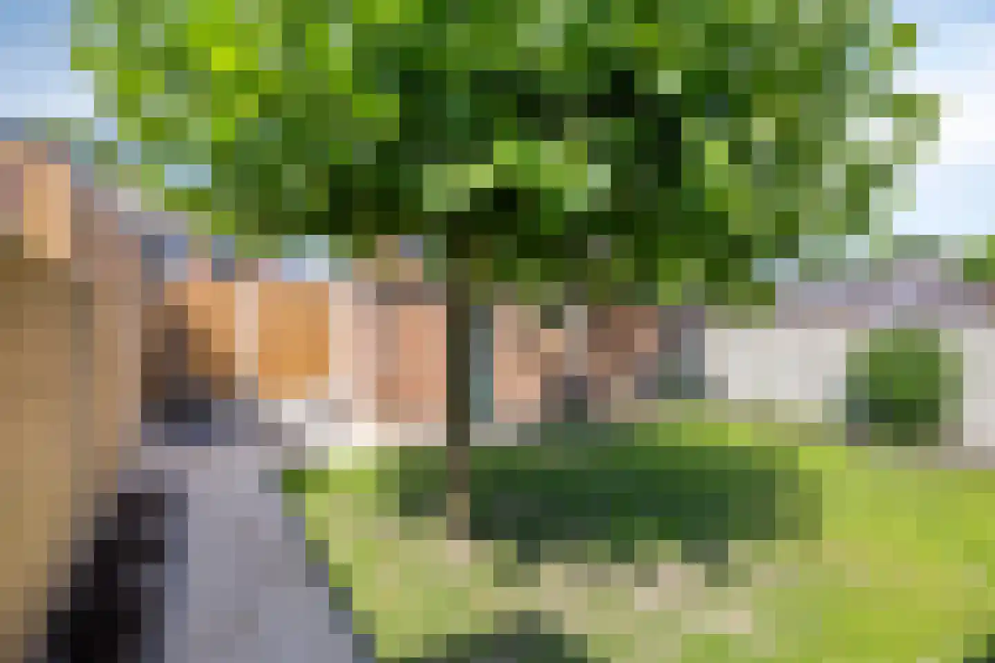 Van Breestraat 49 Tilburg thumbnail 69