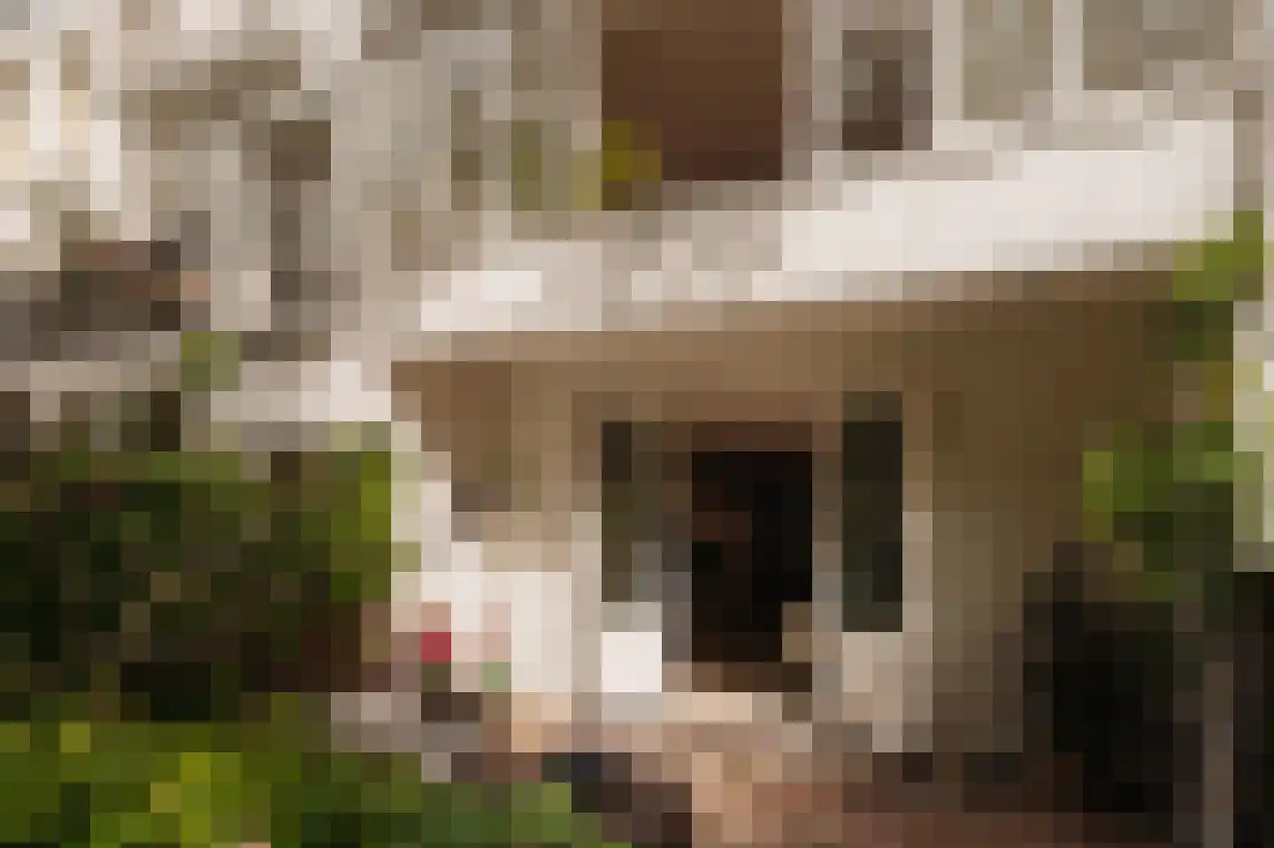 Van Breestraat 59 Amsterdam thumbnail 18
