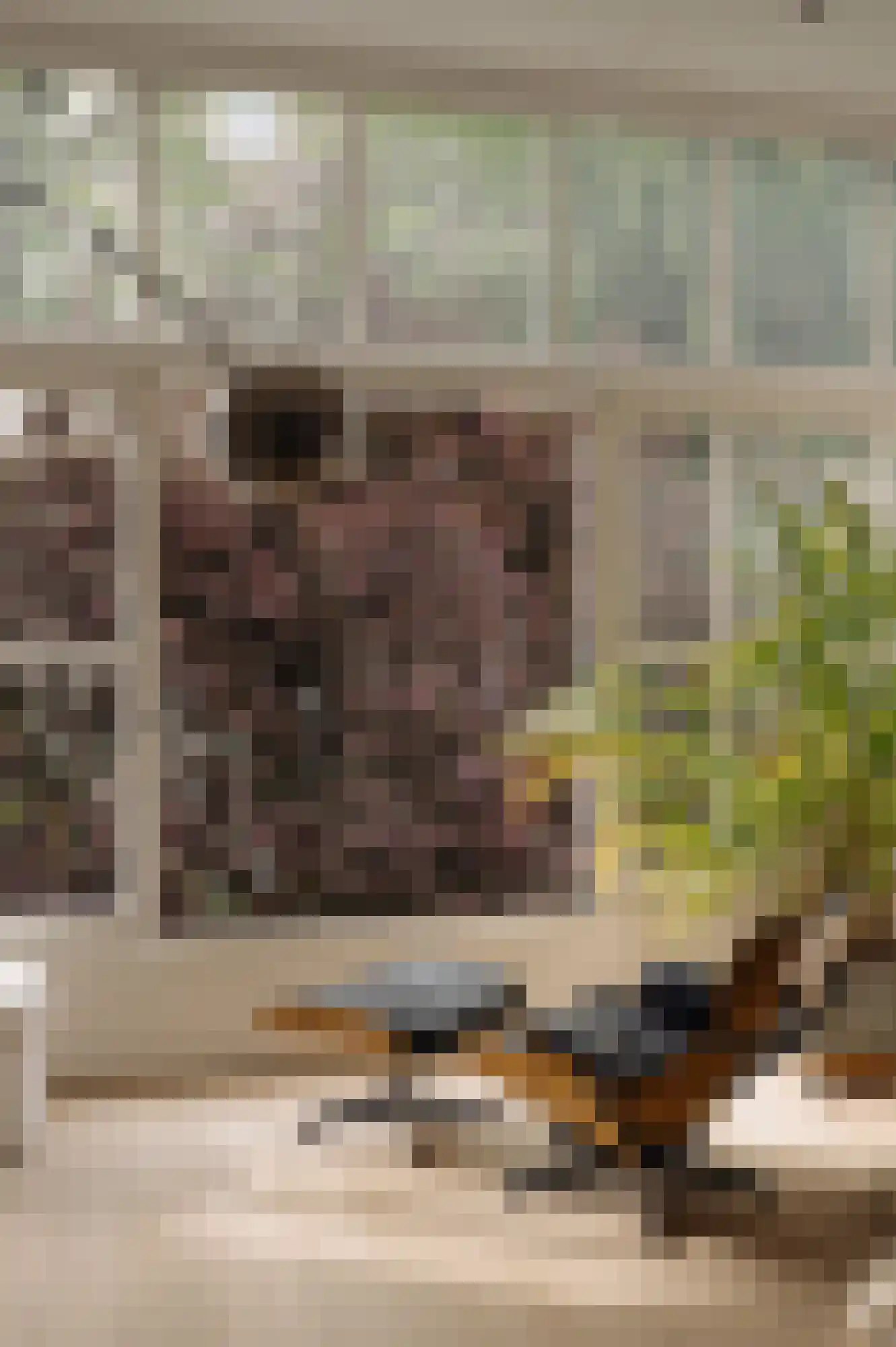 Van Breestraat 59 Amsterdam thumbnail 27