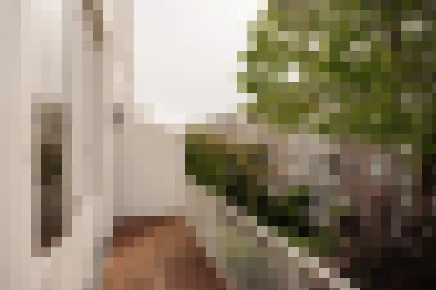 Van Breestraat 59 Amsterdam thumbnail 36