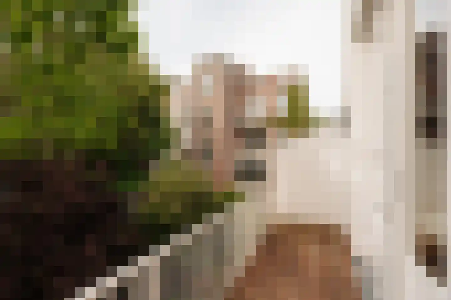Van Breestraat 59 Amsterdam thumbnail 4