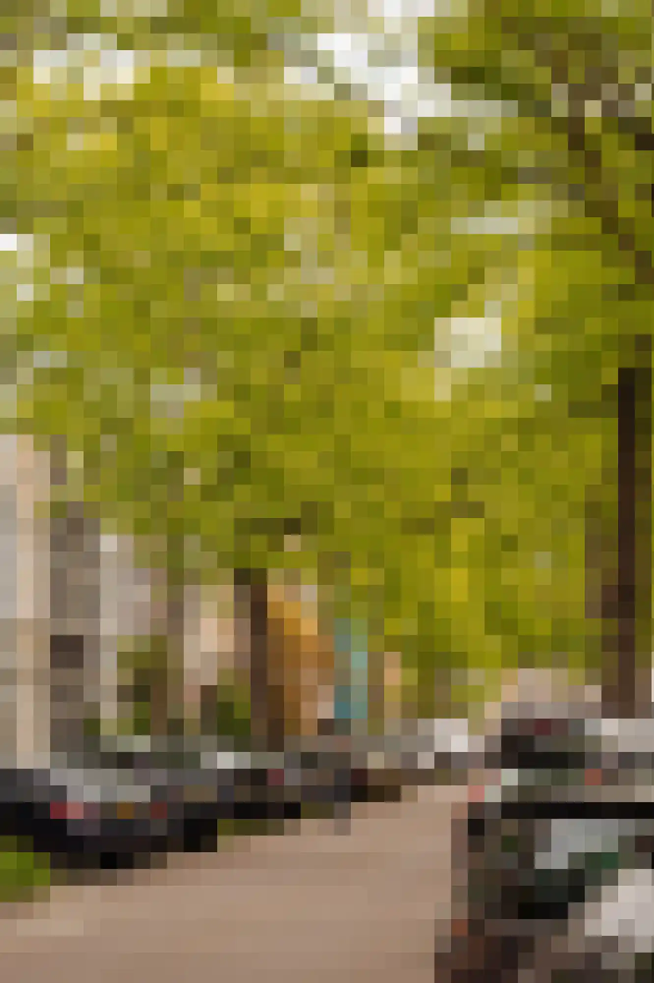 Van Breestraat 59 Amsterdam thumbnail 63