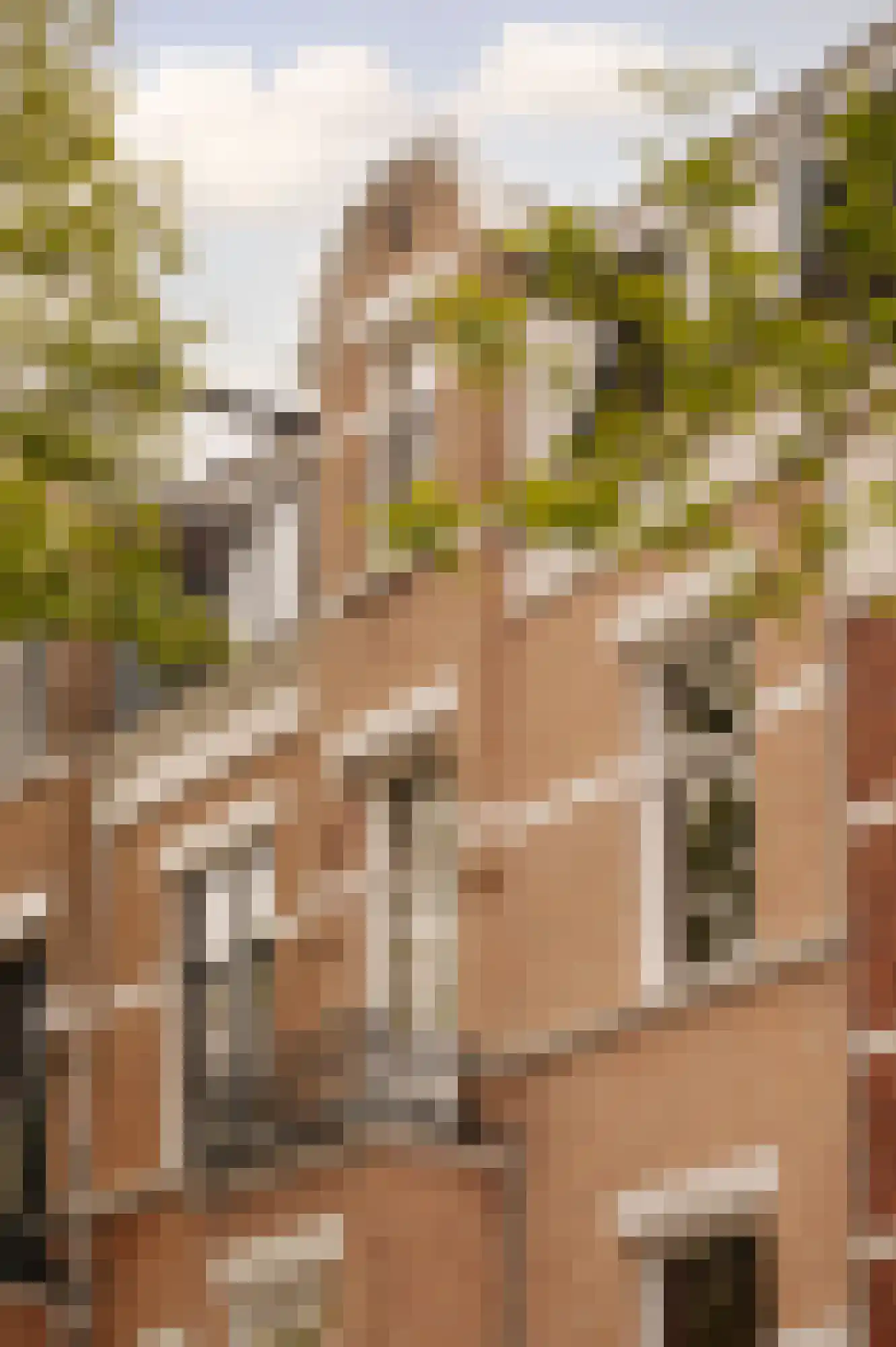 Van Breestraat 59 Amsterdam thumbnail 7