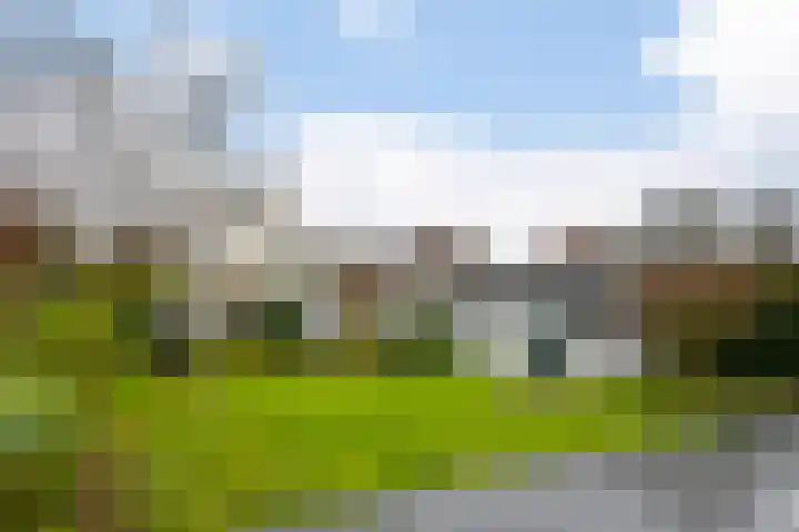 Van Breestraat 6 Baexem thumbnail 30