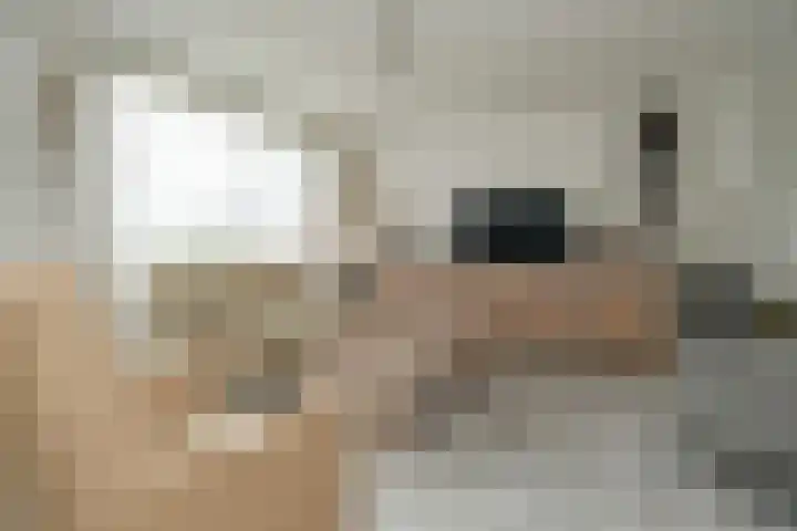 Van Breestraat 6 Baexem thumbnail 4