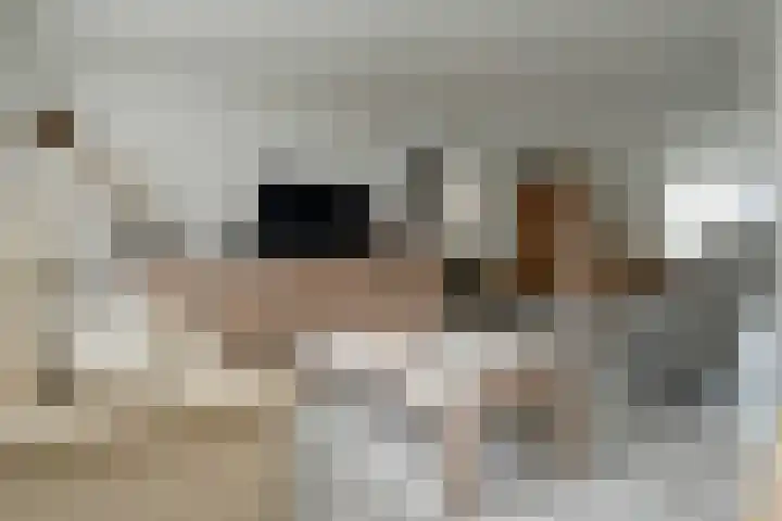 Van Breestraat 6 Baexem thumbnail 5