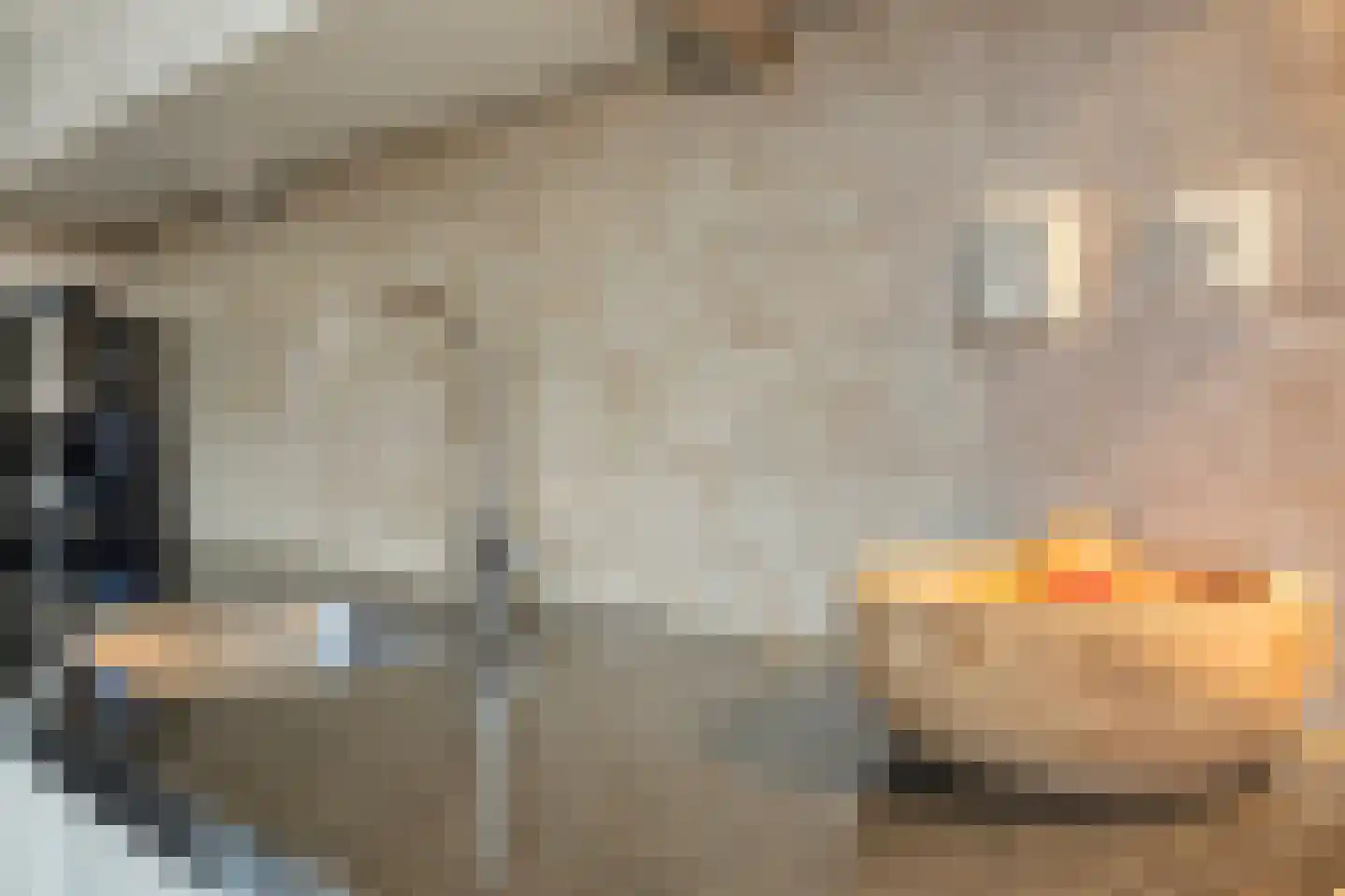 Van Breestraat 72 Tilburg thumbnail 12