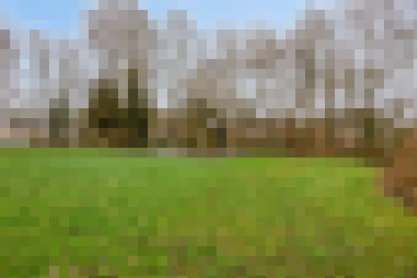 Van Breestraat 72 Tilburg thumbnail 52