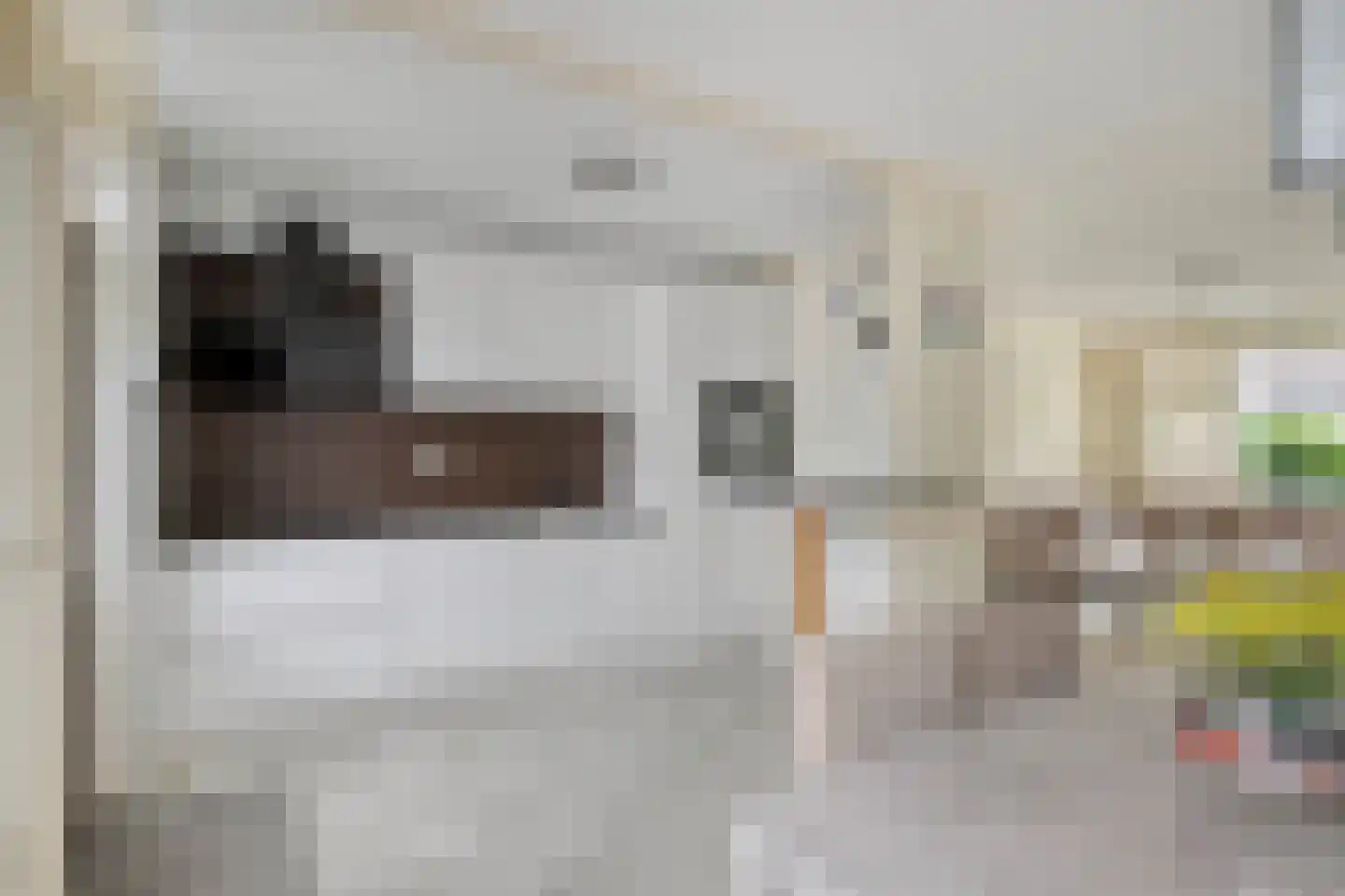 Van Breestraat 82 Tilburg thumbnail 15
