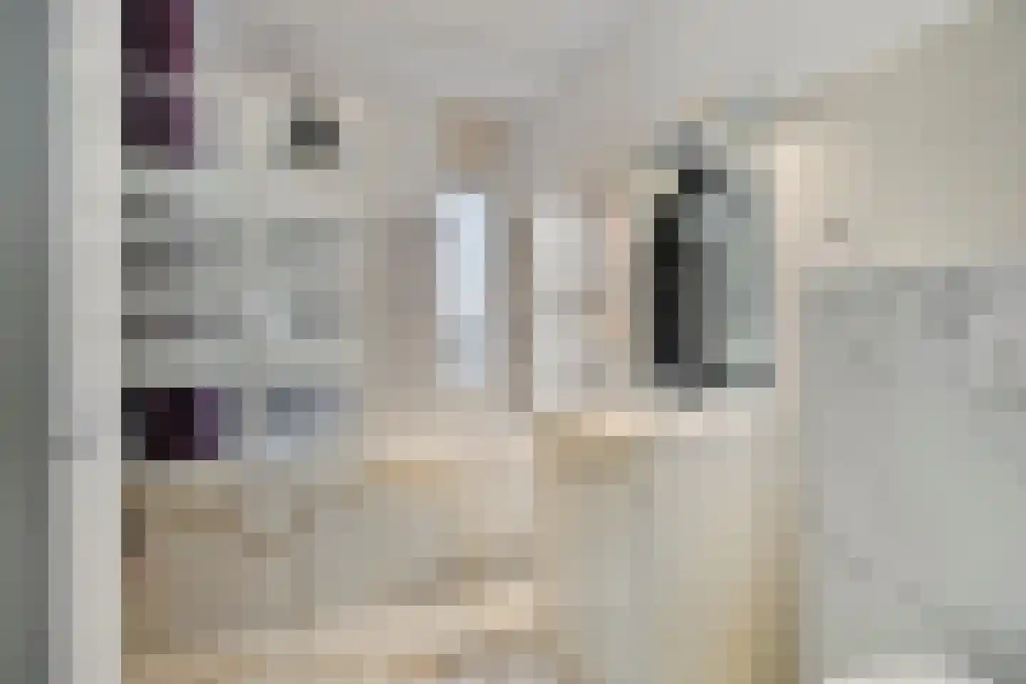 Van Breestraat 82 Tilburg thumbnail 29