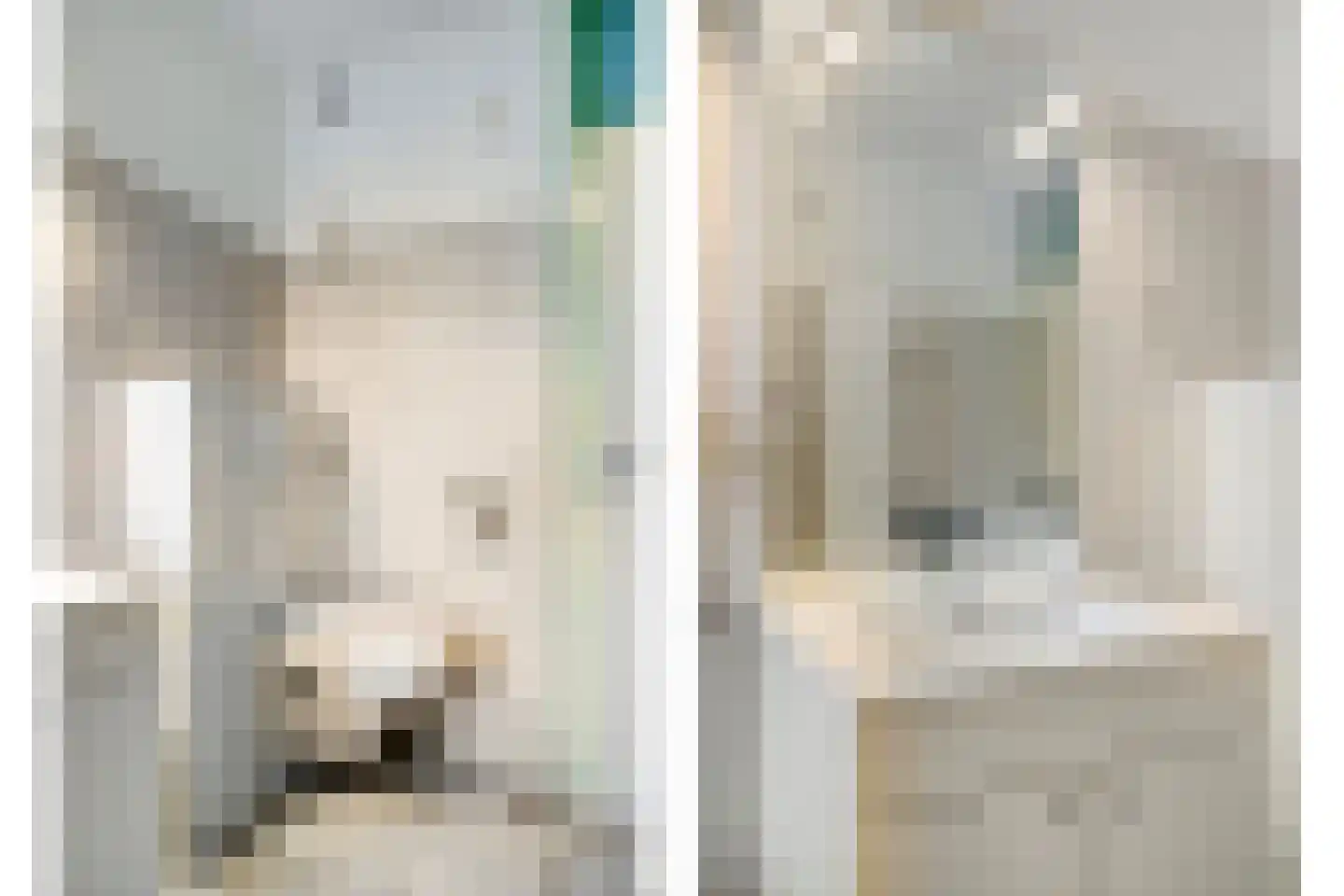 Van Breestraat 82 Tilburg thumbnail 33