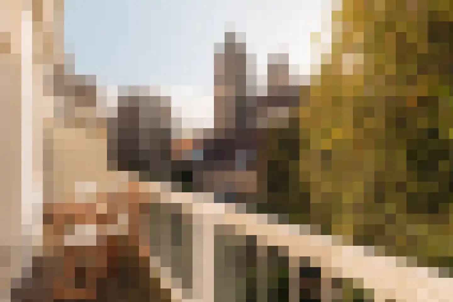 Van Breestraat 87 2 Amsterdam thumbnail 18