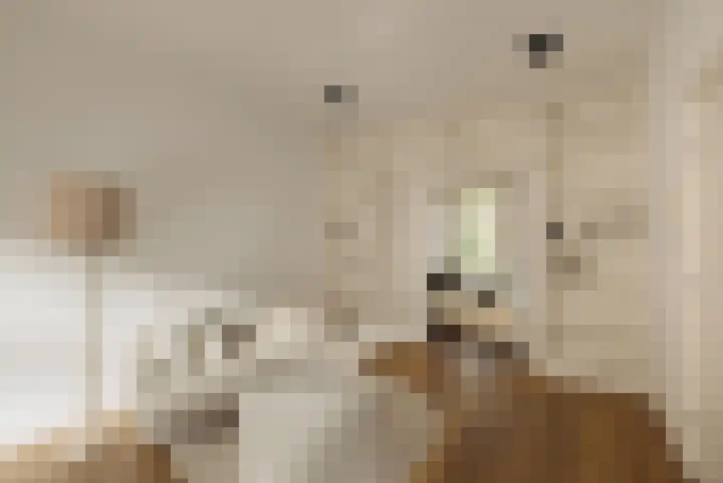 Van Breestraat 87 2 Amsterdam thumbnail 5