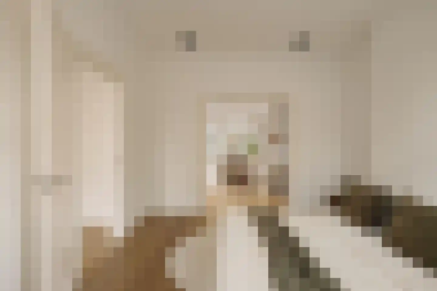 Van Breestraat 87 2 Amsterdam thumbnail 8