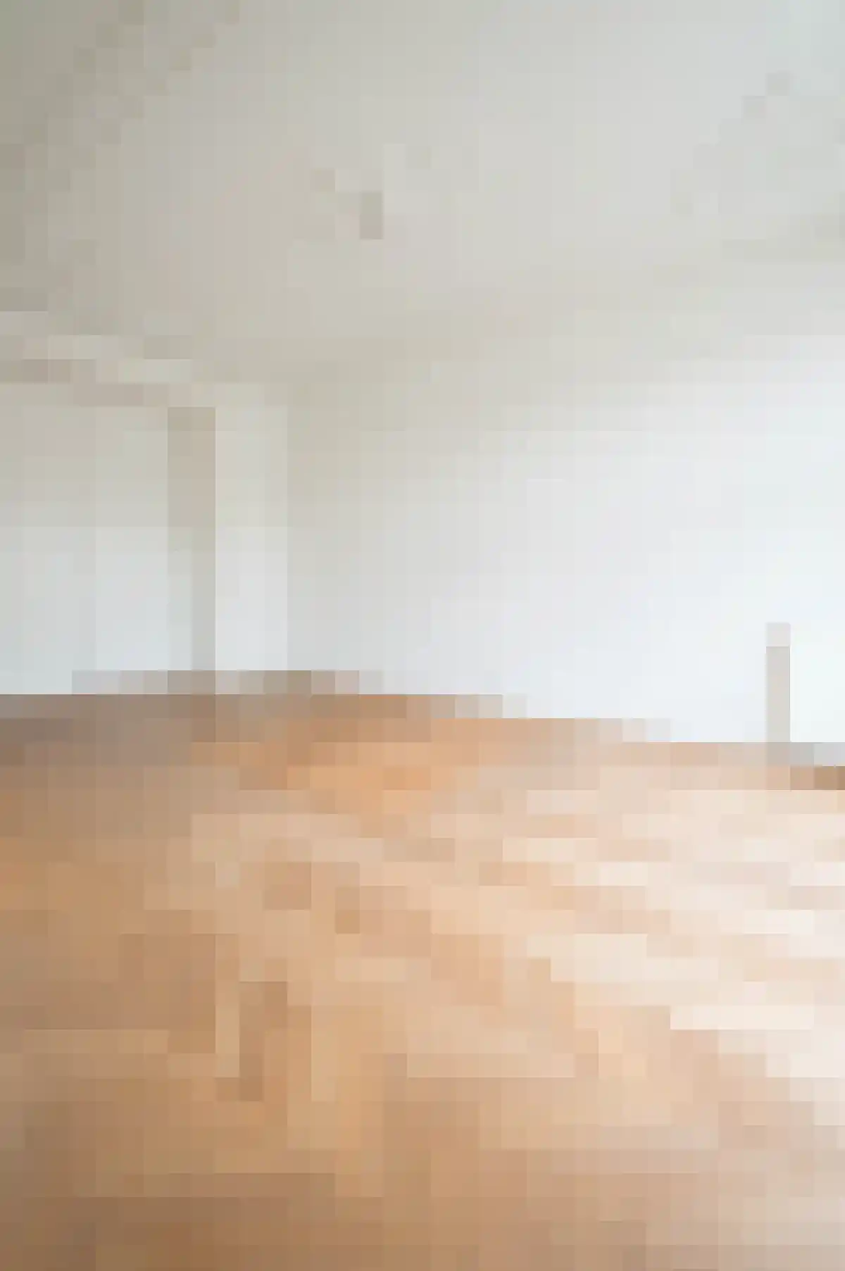 Van Breestraat 90 Amsterdam thumbnail 6