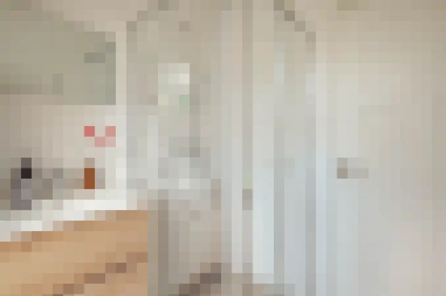Van Breestraat 98 1 Amsterdam thumbnail 36
