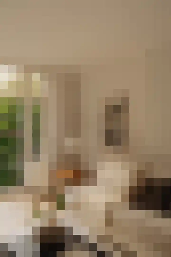 Van Breestraat 98 3 Amsterdam thumbnail 13