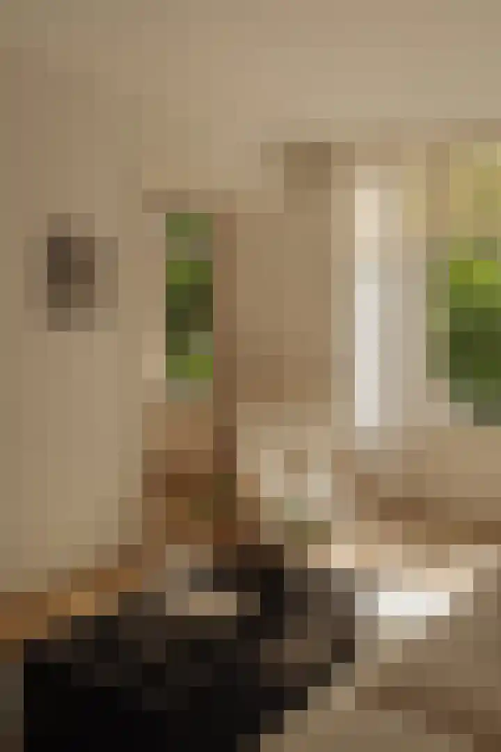 Van Breestraat 98 3 Amsterdam thumbnail 14