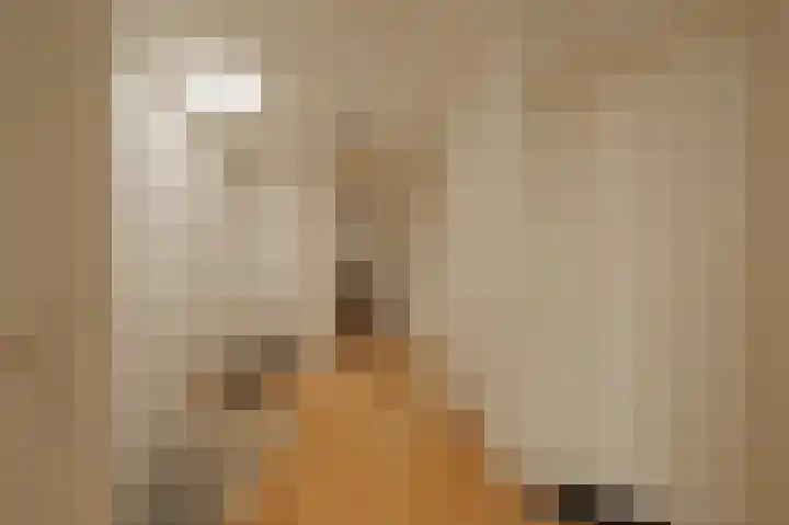 Van Breestraat 98 3 Amsterdam thumbnail 29
